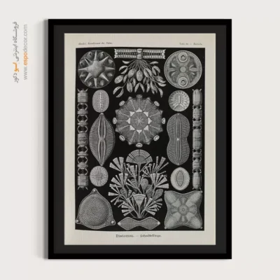 تابلو جانوران دریایی - اسپو دکور