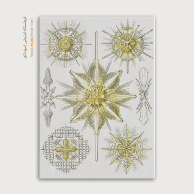 تابلو جانوران دریایی - اسپو دکور