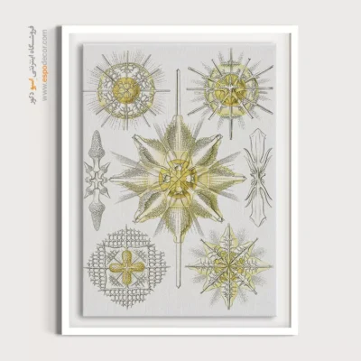 تابلو جانوران دریایی - اسپو دکور