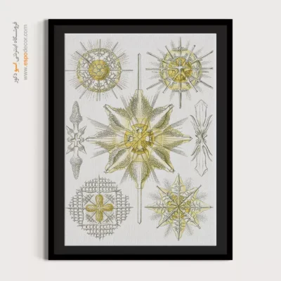 تابلو جانوران دریایی - اسپو دکور