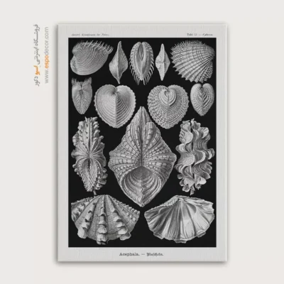 تابلو جانوران دریایی - اسپو دکور