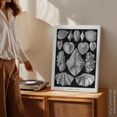 تابلو جانوران دریایی - اسپو دکور