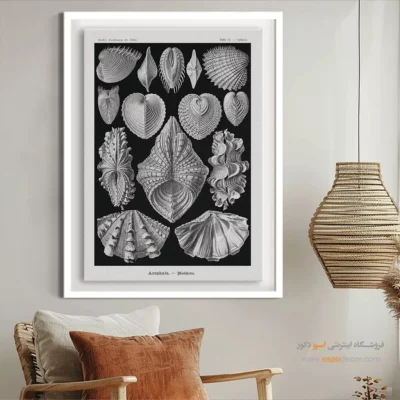 تابلو جانوران دریایی - اسپو دکور