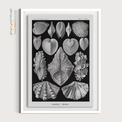 تابلو جانوران دریایی - اسپو دکور