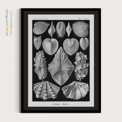 تابلو جانوران دریایی - اسپو دکور