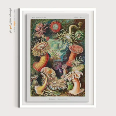 تابلو جانوران دریایی - اسپو دکور