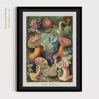 تابلو جانوران دریایی - اسپو دکور