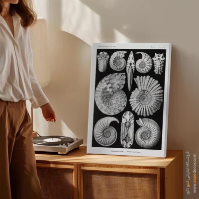 تابلو جانوران دریایی - اسپو دکور