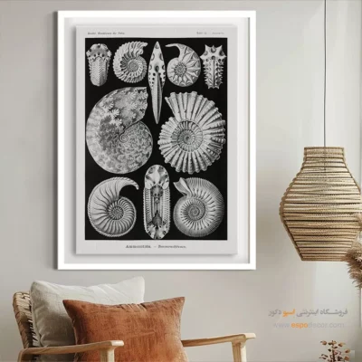 تابلو جانوران دریایی - اسپو دکور