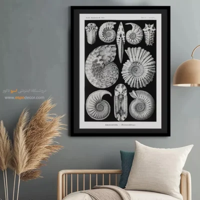 تابلو جانوران دریایی - اسپو دکور