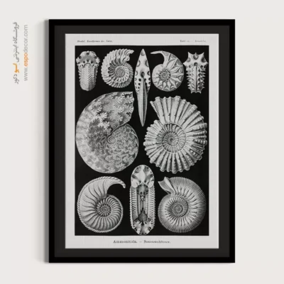 تابلو جانوران دریایی - اسپو دکور