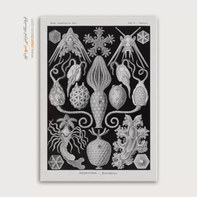 تابلو جانوران دریایی - اسپو دکور