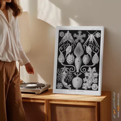 تابلو جانوران دریایی - اسپو دکور