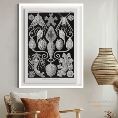 تابلو جانوران دریایی - اسپو دکور