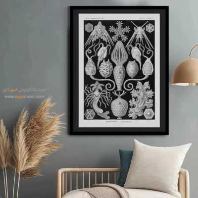 تابلو جانوران دریایی - اسپو دکور