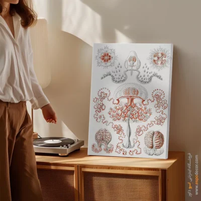 تابلو جانوران دریایی - اسپو دکور