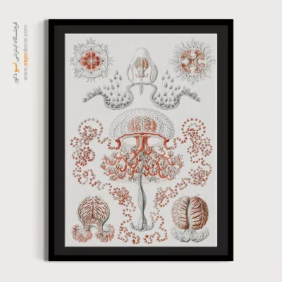 تابلو جانوران دریایی - اسپو دکور