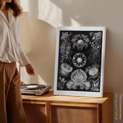 تابلو جانوران دریایی - اسپو دکور