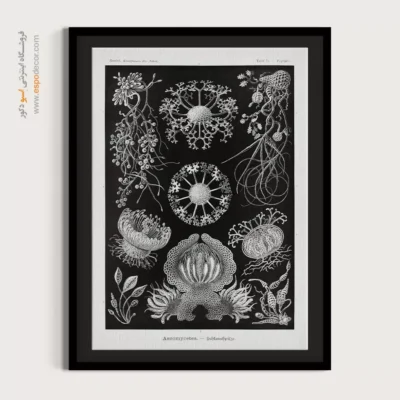 تابلو جانوران دریایی - اسپو دکور