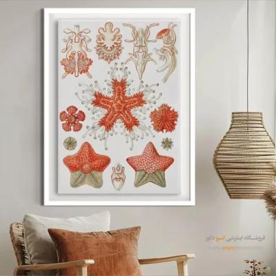 تابلو جانوران دریایی - اسپو دکور