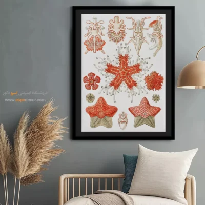 تابلو جانوران دریایی - اسپو دکور