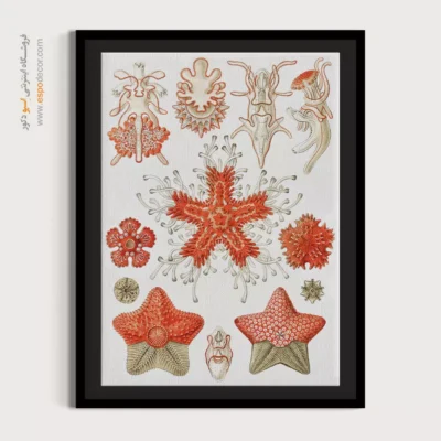 تابلو جانوران دریایی - اسپو دکور