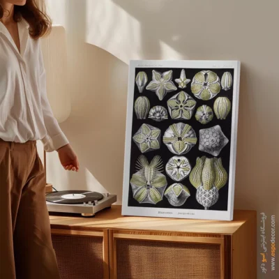 تابلو جانوران دریایی - اسپو دکور