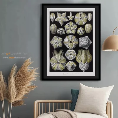 تابلو جانوران دریایی - اسپو دکور