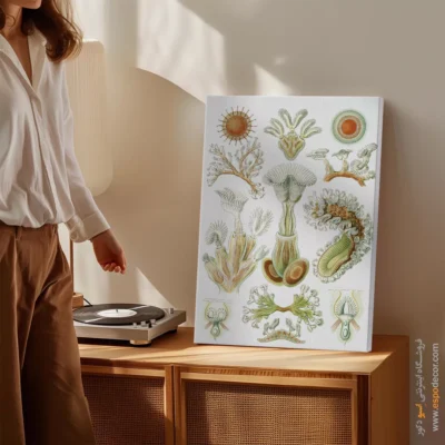 تابلو جانوران دریایی - اسپو دکور