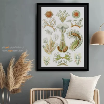 تابلو جانوران دریایی - اسپو دکور