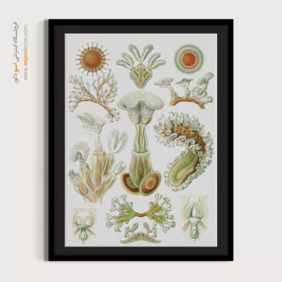 تابلو جانوران دریایی - اسپو دکور