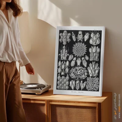 تابلو جانوران دریایی - اسپو دکور