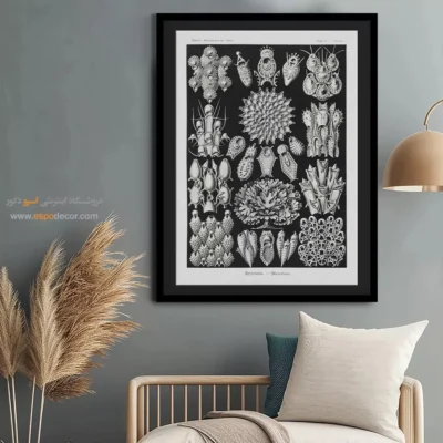 تابلو جانوران دریایی - اسپو دکور