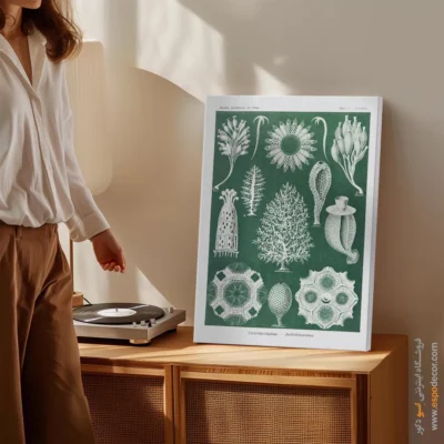 تابلو جانوران دریایی - اسپو دکور