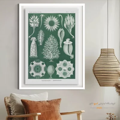 تابلو جانوران دریایی - اسپو دکور