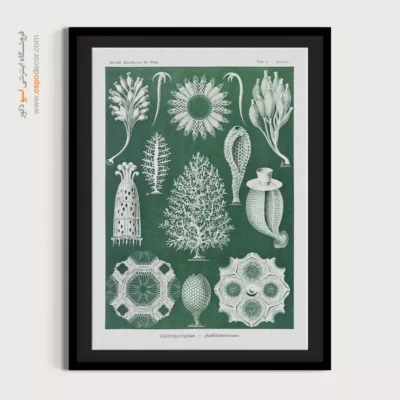 تابلو جانوران دریایی - اسپو دکور