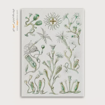 تابلو جانوران دریایی - اسپو دکور