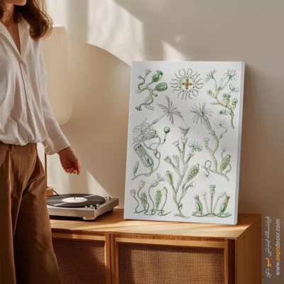 تابلو جانوران دریایی - اسپو دکور