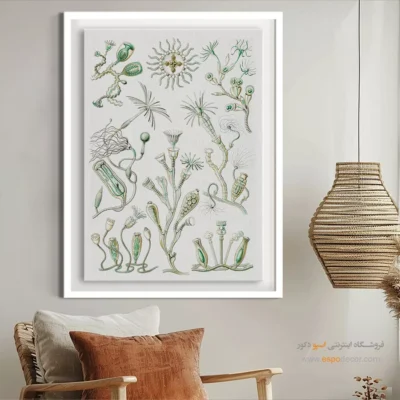 تابلو جانوران دریایی - اسپو دکور