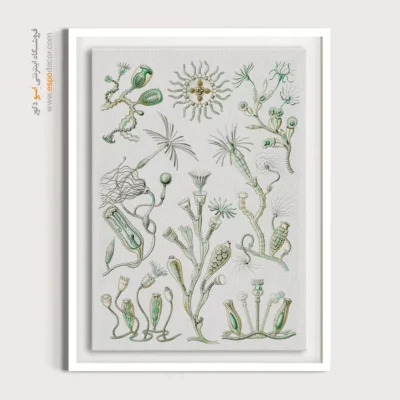 تابلو جانوران دریایی - اسپو دکور