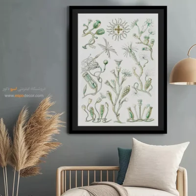 تابلو جانوران دریایی - اسپو دکور