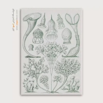 تابلو جانوران دریایی - اسپو دکور