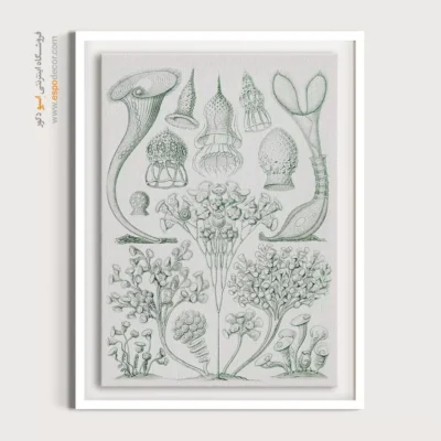 تابلو جانوران دریایی - اسپو دکور