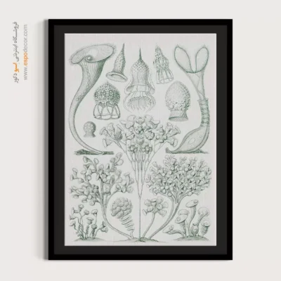 تابلو جانوران دریایی - اسپو دکور