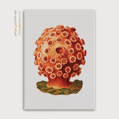 تابلو جانوران دریایی - اسپو دکور