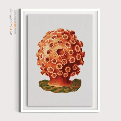 تابلو جانوران دریایی - اسپو دکور