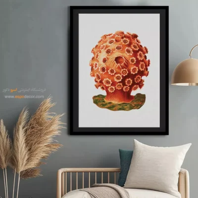 تابلو جانوران دریایی - اسپو دکور