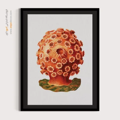 تابلو جانوران دریایی - اسپو دکور