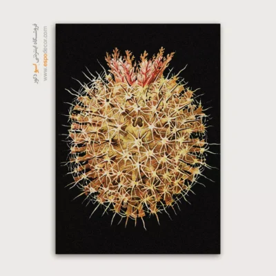 تابلو جانوران دریایی - اسپو دکور