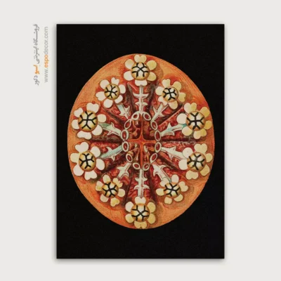 تابلو جانوران دریایی - اسپو دکور